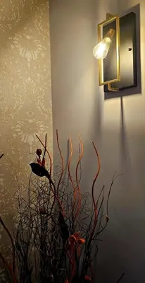 a light on a wall with a plant in a room at Cloclò House in Rome
