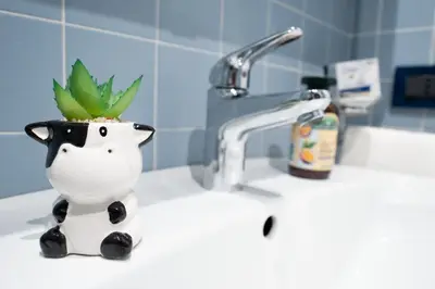 a bathroom sink with a pineapple in a white holder at Aurelian Crown Central Rome in Rome