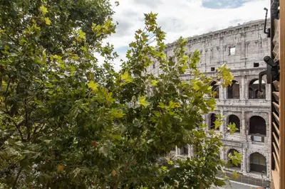 an old building behind a tree with yellow flowers at Amazing Colosseo in Rome