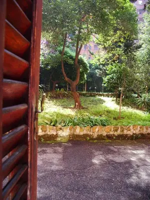 a view of a park with a tree and grass at Holiday home Roma Night and Day in Rome