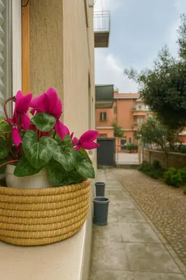 a basket with pink flowers sitting on a window sill at Casetta Beatrice Cozy Flat near Vatican in Rome