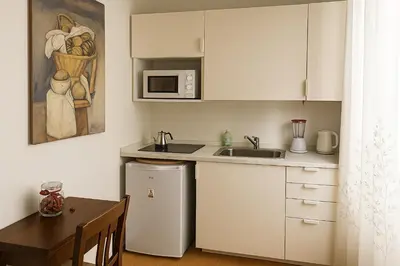 a small kitchen with a sink and a microwave at Casetta Beatrice Cozy Flat near Vatican in Rome