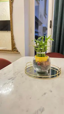 a glass vase with a plant in it on a table at Pantheon Luxury Noble Apartment in Rome