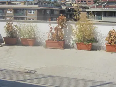 a row of plants in pots on a wall at Penthouse in Trastevere - Entire House in Rome