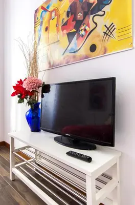 a television on a white table with a vase of flowers at House in the shopping street at Trastevere station in Rome