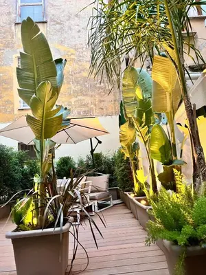 a patio with a bunch of plants and an umbrella at DolceVite - Piazza Di Spagna in Rome