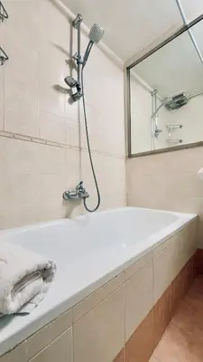 a bathroom with a bath tub and a mirror at Historic apartment by the Pantheon in Rome