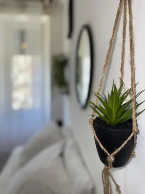 a plant in a pot hanging on a wall at DOMUS I Cozy Apt -20 min from Colosseum in Rome