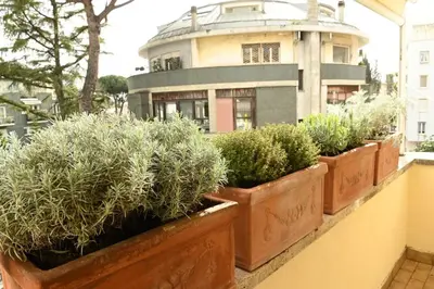 a row of potted plants on a balcony with a building at Scarpellini home Parioli in Rome