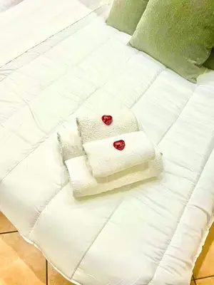 a white bed with two pillows and two red roses at All Suite Colosseo in Rome