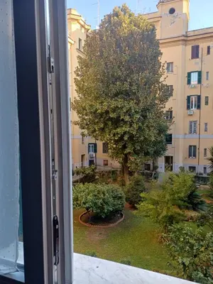 a window view of a tree and a building at Vatican Essence in Rome