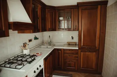 a kitchen with wooden cabinets and a stove top oven at Quo Vadis APT in Rome