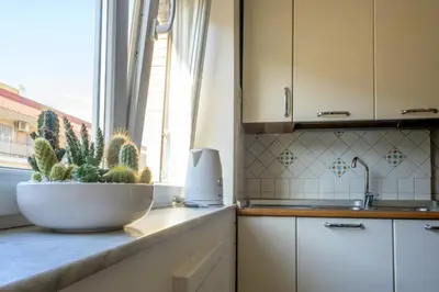 a kitchen counter with a plant in a window at Vacanze Romane in Rome
