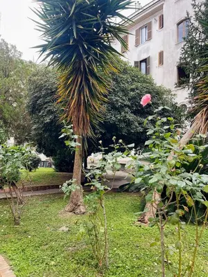 a palm tree in a garden in front of a building at Testaccio 100 in Rome