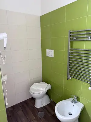 a green bathroom with a toilet and a sink at Tiburtina Hotel Holiday in Rome