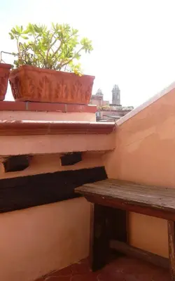 a bench and a potted plant on a balcony at Laurina 4 - LOCAPPART in Rome