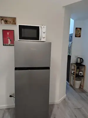 a microwave sitting on top of a refrigerator at Cozy Home Medaglie d'Oro in Rome