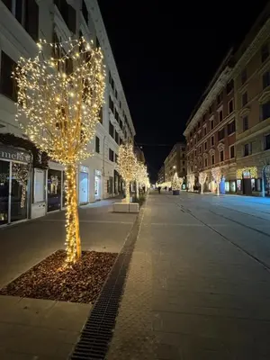a street with trees decorated with lights at night at Casa Amorello - Vaticano in Rome