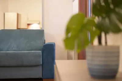 a blue couch and a potted plant on a table at Campo De Fiori Apartments in Rome