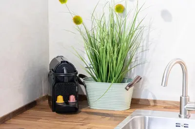 a pot with a plant next to a kitchen sink at Vicolo Trevi Apartment by Rental in Rome in Rome