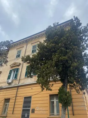 a yellow building with a tree in front of it at One of one experiences - ART ROOM in Rome