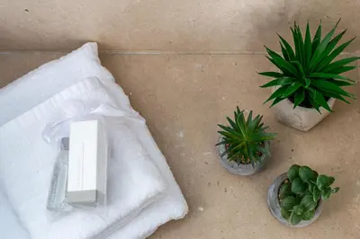 a white towel sitting on a table with a plant at iFlat Spanish Steps Unique Panoramic Penthouse in Rome