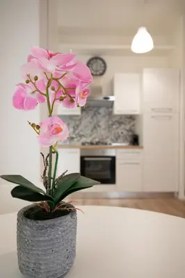 a vase with pink flowers on a counter in a kitchen at Civico Appia Apartment in Rome