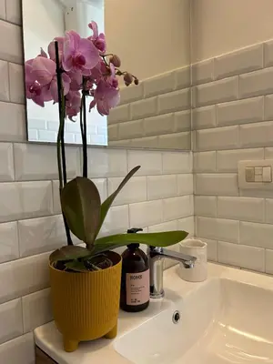 a bathroom sink with a vase with flowers on it at MarVal Vatican House in Rome