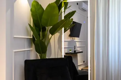 a black chair and a plant in a room at Rome Elegant Suite in Rome