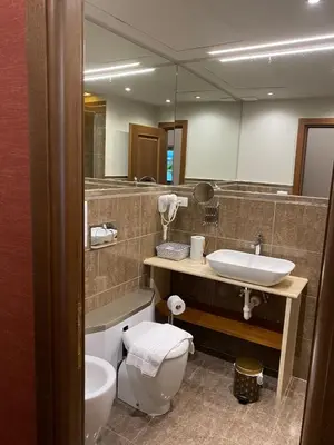 a bathroom with a toilet and a sink and a mirror at Dimora Frattina in Rome