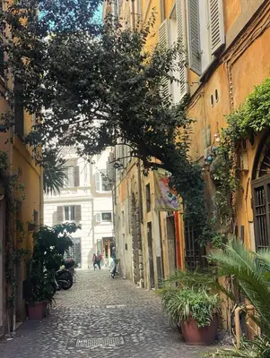 an alley with a tree in the middle of a street at BellaRoma NAVONA Guest house in Rome