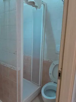 a bathroom with a toilet and a shower at Palma in Rome