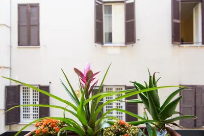 a plant in front of a building with windows at Domenichino Luxury Home in Rome