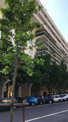 a tree in front of a building with parked cars at magic portaportese in Rome