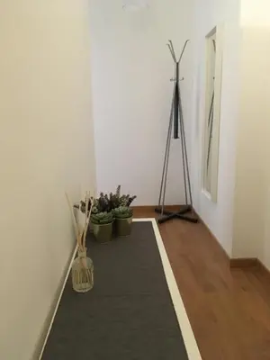 a hallway with plants and a tripod in a room at magic portaportese in Rome