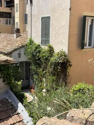 an ivy covered building next to a building at Madama Lucrezia - Fontana di Trevi & Pantheon in Rome