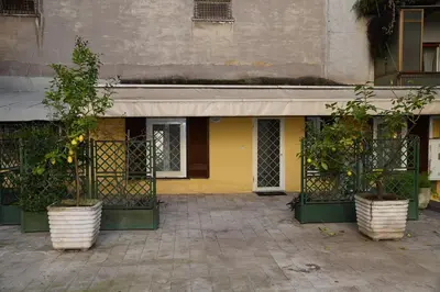 a yellow building with two potted trees in front of it at Stefy's House Appiono Tuscolano in Rome