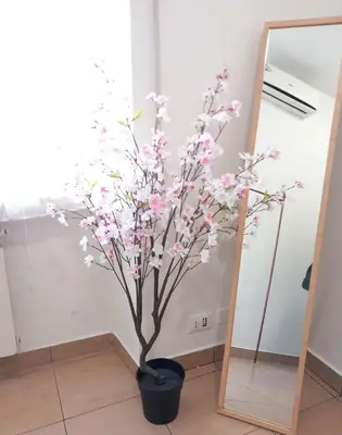 a plant in a black pot next to a mirror at TravelR's Home in Rome