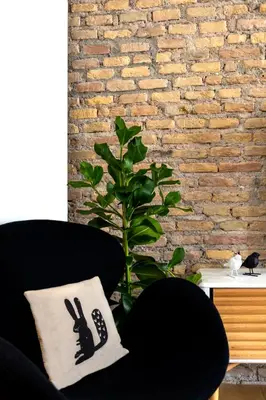 a black chair with a pillow in front of a brick wall at Colosseum - Diana's Design Apartment in Rome
