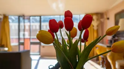 a bouquet of red and yellow tulips in a vase at EasyTopStay - Charme and View in the Heart of Rome in Rome