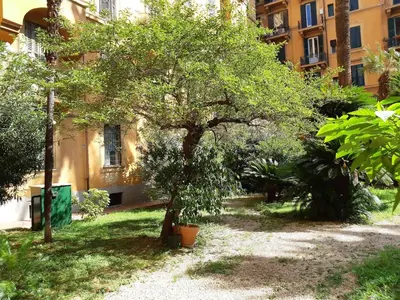 a tree in a yard in front of a building at Attico Luminoso Bed in Bormida in Rome