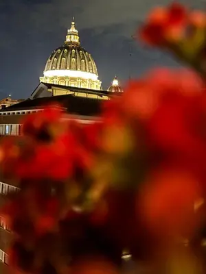 a capitol building with red flowers in front of it at Saint Peter's Sunset View Luxury Apartment in Rome