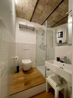 a bathroom with a shower and a toilet and a sink at Domus 31 - Colosseum in Rome
