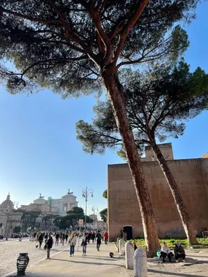 a group of people walking on a sidewalk next to two trees at Domus 31 - Colosseum in Rome