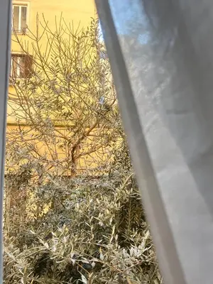 a view from a window of a plant with a building at Guest house Aria in Rome
