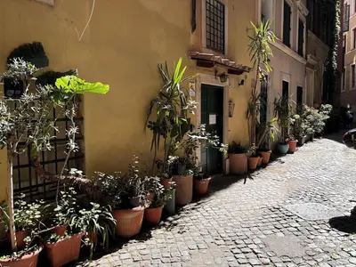 a row of potted plants on the side of a building at la casa di lola in Rome