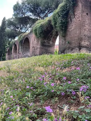 an old brick wall with purple flowers in a field at Archouse - Elegant apartment a 10 min dal Colosseo in Rome
