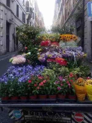 a display of flowers in a flower market at Three bedroom apartment with a view in Monti in Rome