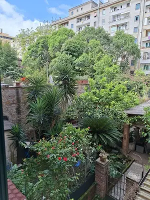 a garden with plants and trees in a city at Raffa al Pigneto in Rome