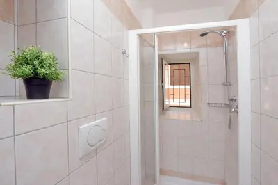 a bathroom with a shower with a potted plant at DaliTourism - Colosseo Experience 28 in Rome